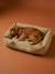 Panier matelassé pour chiens, disponible en 2 tailles noisette+rayé blanc 1 - vertbaudet enfant 