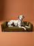 Canapé velours chien grand bronze 7 - vertbaudet enfant 