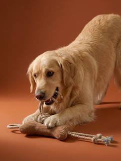 Linge de maison et décoration-Décoration-Lot jouets chien