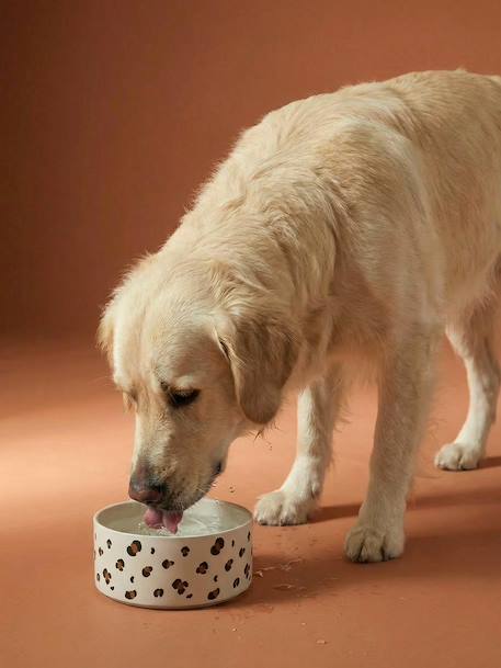 Gamelle en céramique pour chien blanc imprimé+camel+rayé rose 4 - vertbaudet enfant 