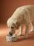 Gamelle en céramique pour chien blanc imprimé+camel+rayé rose 4 - vertbaudet enfant 