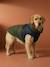 Manteau doudoune chien zip harnais Kaki 6 - vertbaudet enfant 