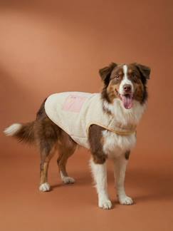Linge de maison et décoration-Décoration-Animaux de compagnie-Manteau polaire chien