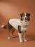 Manteau polaire chien beige+kaki 1 - vertbaudet enfant 
