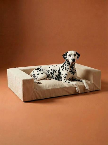 Sofa XL chien velours côtelé écru 2 - vertbaudet enfant 