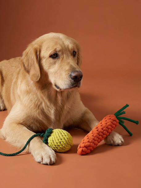 Lot 2 jouets corde chien fruits jaune 2 - vertbaudet enfant 