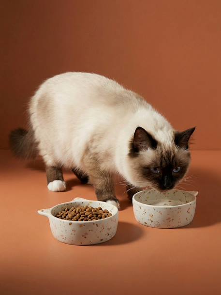 Lot de 2 gamelles pour chat en céramique blanc imprimé+écru 14 - vertbaudet enfant 