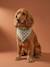 Bandana chien coton blanc imprimé+carreaux beige+marron imprimé 1 - vertbaudet enfant 
