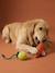 Lot 2 jouets corde chien fruits jaune 1 - vertbaudet enfant 
