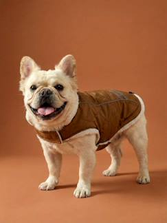 Linge de maison et décoration-Décoration-Manteau imperméable chien