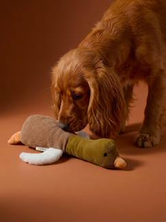 Linge de maison et décoration-Décoration-Animaux de compagnie-Jouet chien multi textures canard