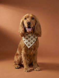 Linge de maison et décoration-Décoration-Animaux de compagnie-Bandana chien coton