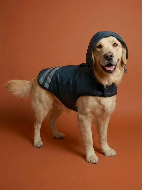 Manteau imperméable pour chien bleu ardoise 8 - vertbaudet enfant 