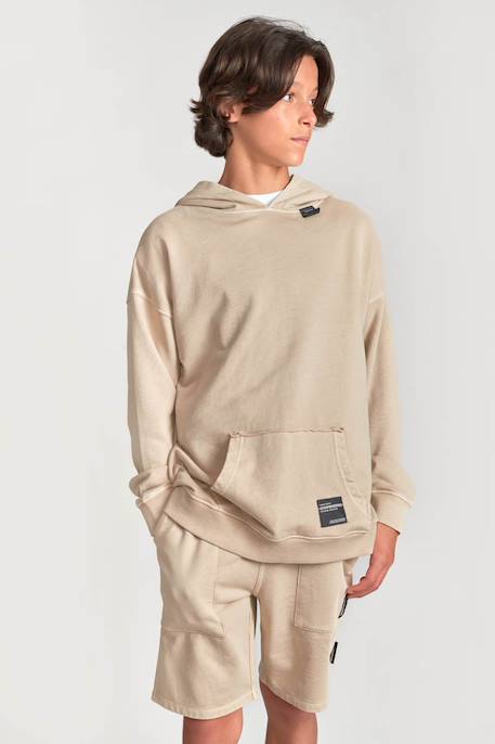 Garçon-Pull, gilet, sweat-Sweat-shirt capuche anibo