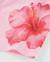 Short fille en maille avec motif d’hibiscus Rose 4 - vertbaudet enfant 