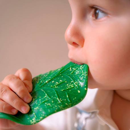 Feuille de chlorophylle jouet de dentition Vert 4 - vertbaudet enfant 