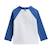 Maillot de bain garçon 2 pièces t-shirt et pantalon de protection uv brasilia Bleu 5 - vertbaudet enfant 