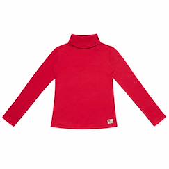 Garçon-T-shirt, polo, sous-pull-Sous-pull   à col roulé  harmonie