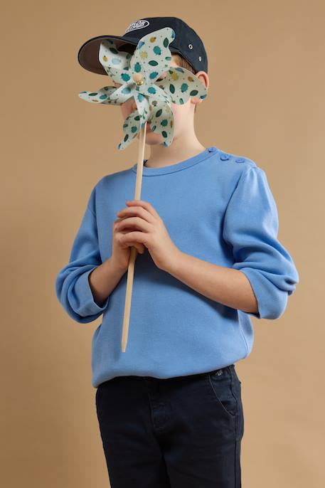 Pull marin uni en coton enfant Bleu lobelia 5 - vertbaudet enfant 