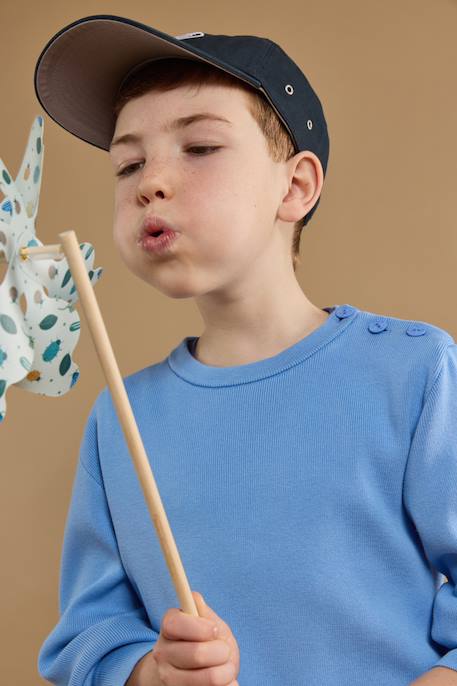 Pull marin uni en coton enfant Bleu lobelia 6 - vertbaudet enfant 