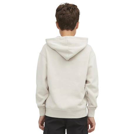 Sweat garçon à capuche vesterbro Beige+Bleu+Gris+Noir 2 - vertbaudet enfant 