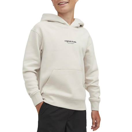 Garçon-Pull, gilet, sweat-Sweat garçon à capuche vesterbro