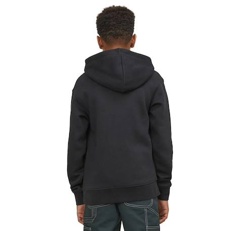 Sweat garçon à capuche vesterbro Beige+Bleu+Gris+Noir 9 - vertbaudet enfant 