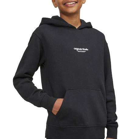 Sweat garçon à capuche vesterbro Beige+Bleu+Gris+Noir 8 - vertbaudet enfant 