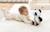 Tiny love peluche veilleuse snuggly buddy panda Blanc et noir 4 - vertbaudet enfant 