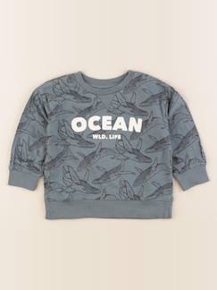 Seconde main-Garçon-Tee-shirt - 2 ans