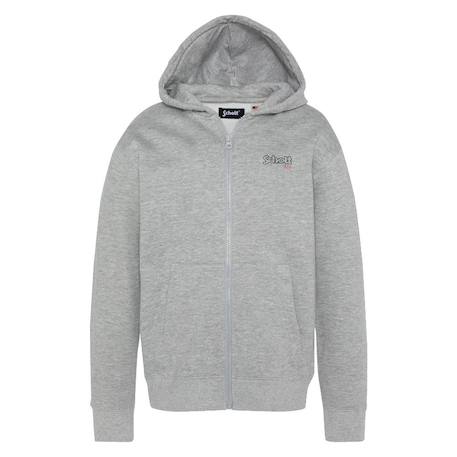Garçon-Pull, gilet, sweat-Sweat zippé à capuche