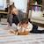 Accordéon électronique tiny love - tiny rockers Tiny rocker 4 - vertbaudet enfant 