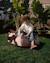 Pouf extérieur enfant carré coussin de sol outdoor Azure+Dune+Herba+Pomegranate+Seashell+Terra 25 - vertbaudet enfant 