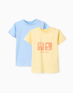 -Lot de 2 t-shirts en coton avec imprimés d'été