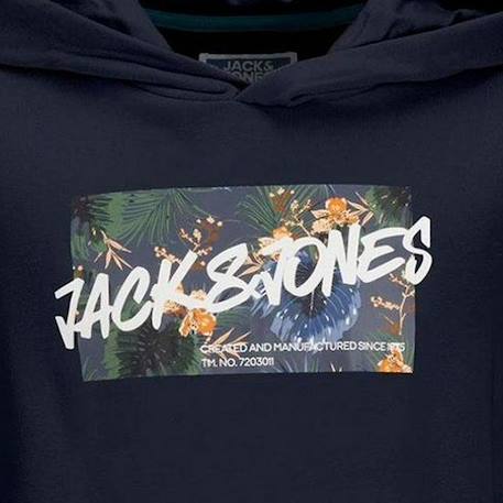 Sweat garçon à capuches hawaii Gris+Marine 5 - vertbaudet enfant 
