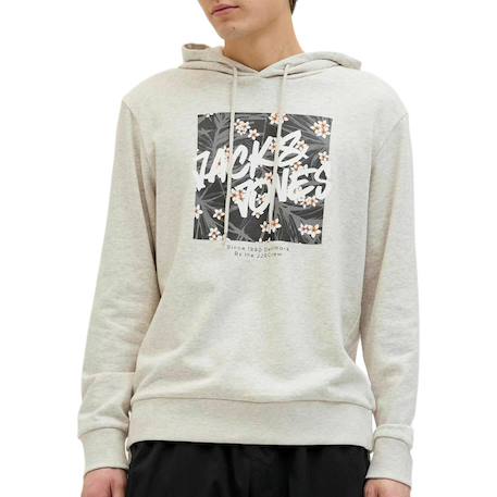 Sweat garçon à capuches hawaii Gris+Marine 1 - vertbaudet enfant 