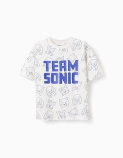 Garçon-T-shirt, polo, sous-pull-T-shirt en coton avec imprimé team sonic