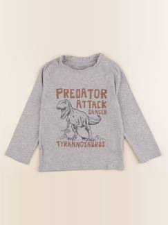 Seconde main-Garçon-Tee-shirt - 5 ans
