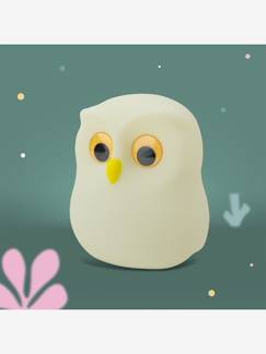 Linge de maison et décoration-Veilleuse chouette LED