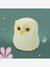 Veilleuse chouette LED beige 1 - vertbaudet enfant 