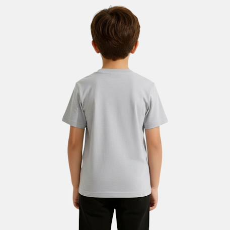 T-shirt manches courtes garçon avec imprimé Gris 3 - vertbaudet enfant 