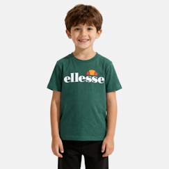 Garçon-T-shirt, polo, sous-pull-T-shirt-T-shirt manches courtes garçon avec imprimé
