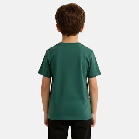 T-shirt manches courtes garçon avec imprimé Vert 3 - vertbaudet enfant 