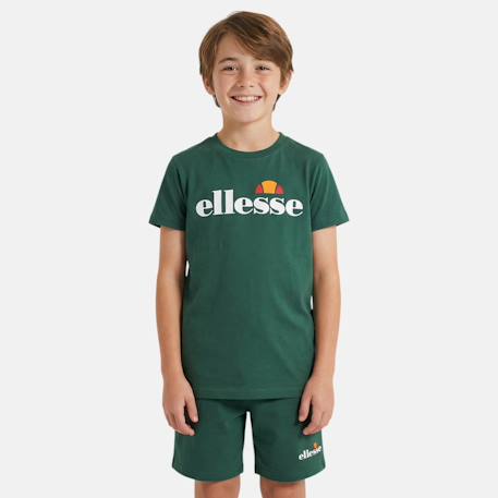 Pack de 2 t-shirts et short garçon Vert 4 - vertbaudet enfant 