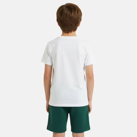 Pack de 2 t-shirts et short garçon Vert 6 - vertbaudet enfant 