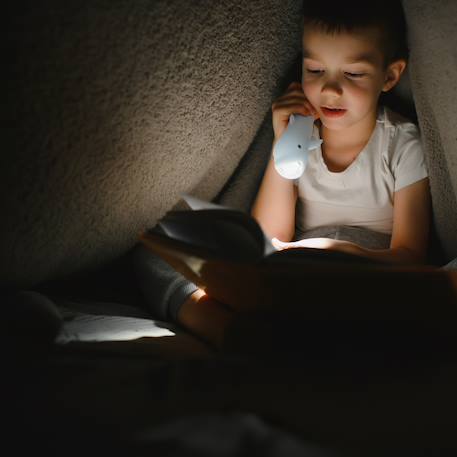 Lampe torche animaux en silicone pour enfants Beige+Bleu ciel+Camel+Écru+Marron+Orange+Rose+Taupe+Vert 11 - vertbaudet enfant 