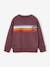 Sweat garçon col rond blanc chiné+mauve 9 - vertbaudet enfant 