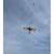 Cerf-volant aigle royal Marron 4 - vertbaudet enfant 