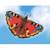 Cerf-volant papillon paon-du-jour Rouge 3 - vertbaudet enfant 