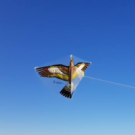 Cerf-volant aigle royal Marron 2 - vertbaudet enfant 